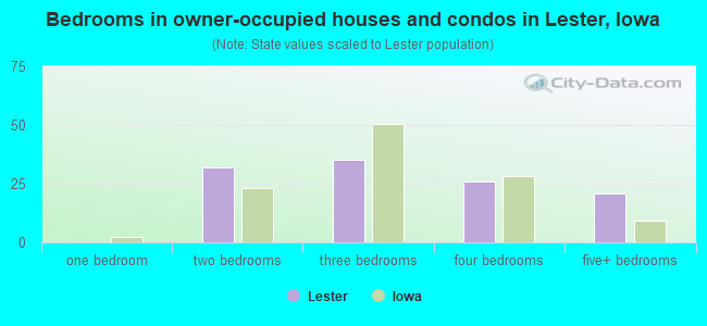 Bedrooms in owner-occupied houses and condos in Lester, Iowa