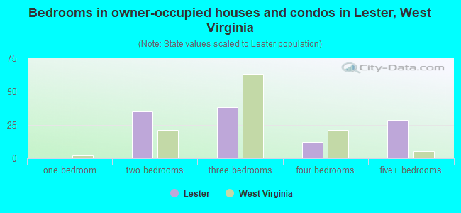 Bedrooms in owner-occupied houses and condos in Lester, West Virginia