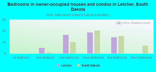 Bedrooms in owner-occupied houses and condos in Letcher, South Dakota