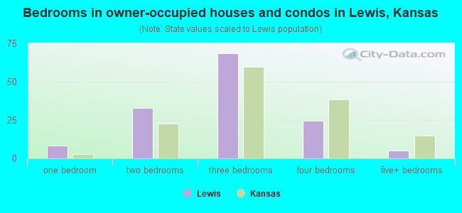 Bedrooms in owner-occupied houses and condos in Lewis, Kansas