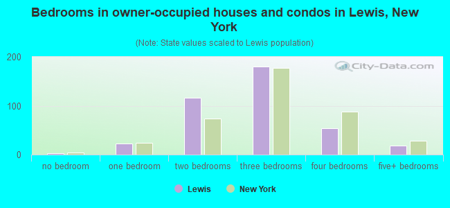 Bedrooms in owner-occupied houses and condos in Lewis, New York