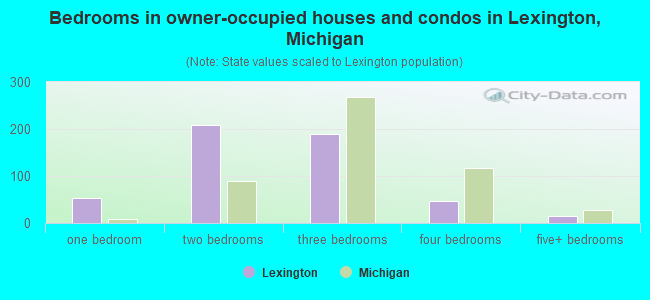 Bedrooms in owner-occupied houses and condos in Lexington, Michigan