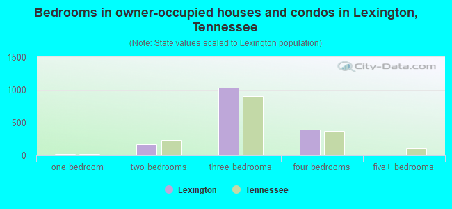 Bedrooms in owner-occupied houses and condos in Lexington, Tennessee