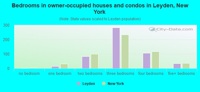 Bedrooms in owner-occupied houses and condos in Leyden, New York