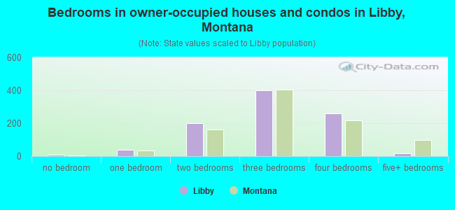 Bedrooms in owner-occupied houses and condos in Libby, Montana