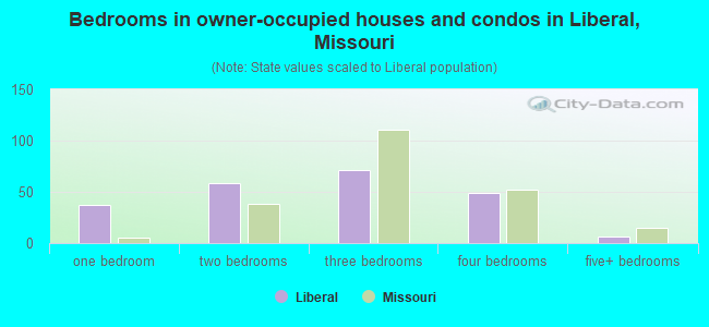 Bedrooms in owner-occupied houses and condos in Liberal, Missouri
