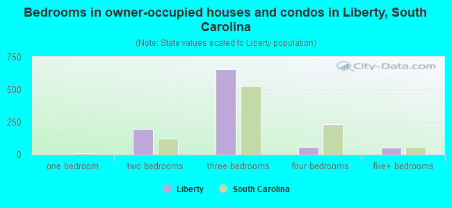 Bedrooms in owner-occupied houses and condos in Liberty, South Carolina