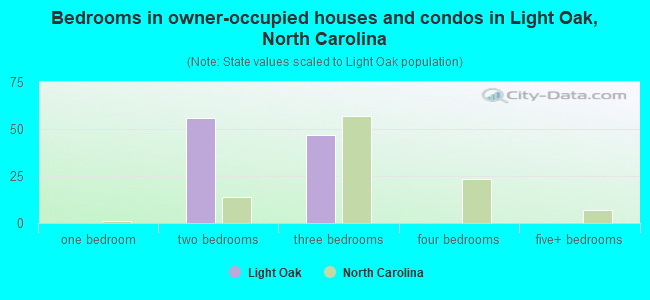 Bedrooms in owner-occupied houses and condos in Light Oak, North Carolina