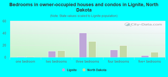 Bedrooms in owner-occupied houses and condos in Lignite, North Dakota