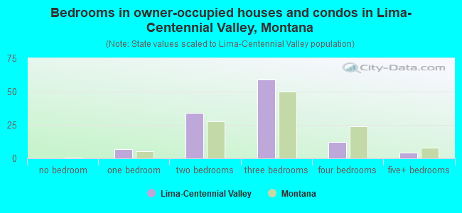 Bedrooms in owner-occupied houses and condos in Lima-Centennial Valley, Montana