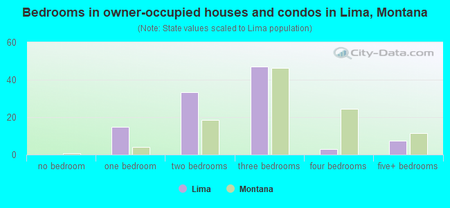 Bedrooms in owner-occupied houses and condos in Lima, Montana