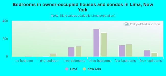 Bedrooms in owner-occupied houses and condos in Lima, New York