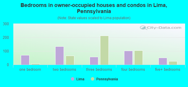Bedrooms in owner-occupied houses and condos in Lima, Pennsylvania