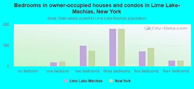 Bedrooms in owner-occupied houses and condos in Lime Lake-Machias, New York