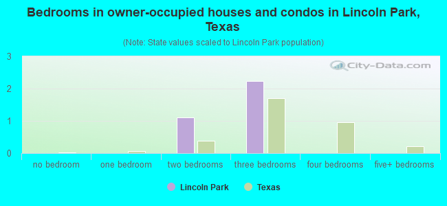 Bedrooms in owner-occupied houses and condos in Lincoln Park, Texas