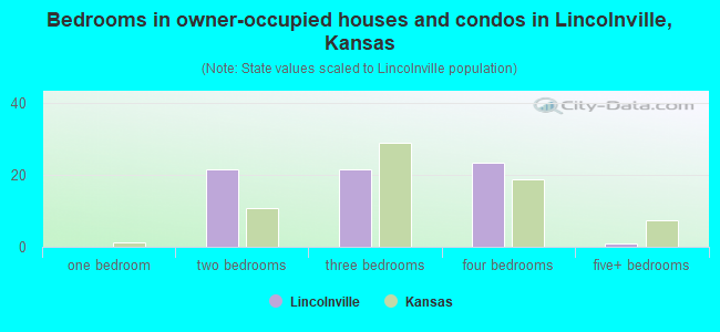 Bedrooms in owner-occupied houses and condos in Lincolnville, Kansas