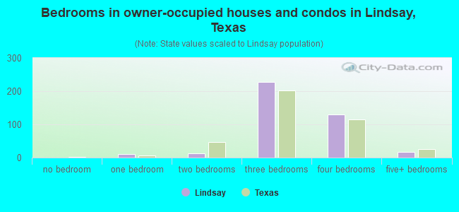 Bedrooms in owner-occupied houses and condos in Lindsay, Texas