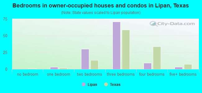 Bedrooms in owner-occupied houses and condos in Lipan, Texas