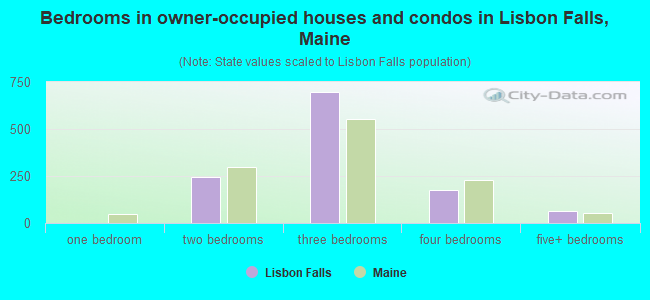 Bedrooms in owner-occupied houses and condos in Lisbon Falls, Maine