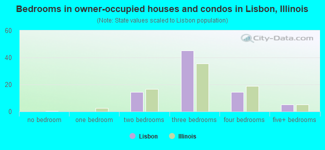 Bedrooms in owner-occupied houses and condos in Lisbon, Illinois