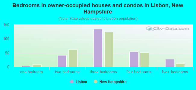 Bedrooms in owner-occupied houses and condos in Lisbon, New Hampshire