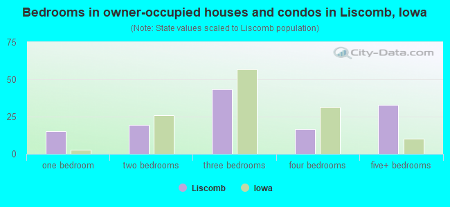 Bedrooms in owner-occupied houses and condos in Liscomb, Iowa