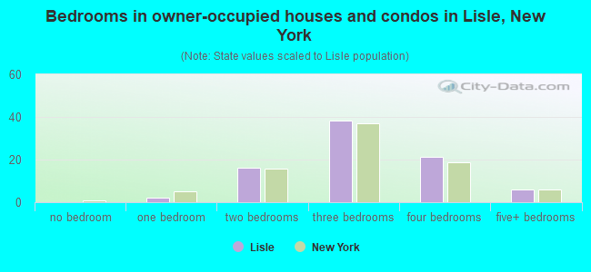 Bedrooms in owner-occupied houses and condos in Lisle, New York
