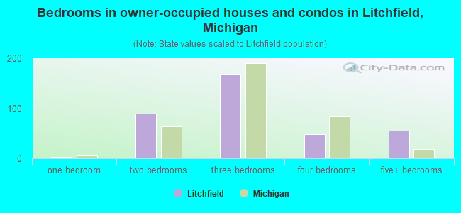 Bedrooms in owner-occupied houses and condos in Litchfield, Michigan