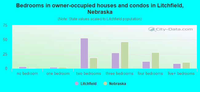 Bedrooms in owner-occupied houses and condos in Litchfield, Nebraska