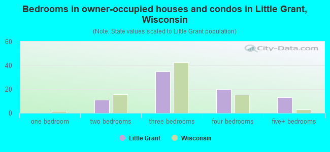 Bedrooms in owner-occupied houses and condos in Little Grant, Wisconsin