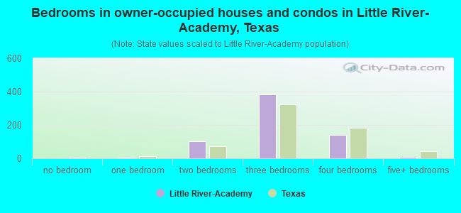 Bedrooms in owner-occupied houses and condos in Little River-Academy, Texas
