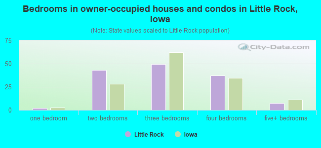 Bedrooms in owner-occupied houses and condos in Little Rock, Iowa