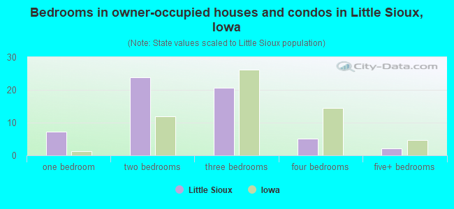Bedrooms in owner-occupied houses and condos in Little Sioux, Iowa