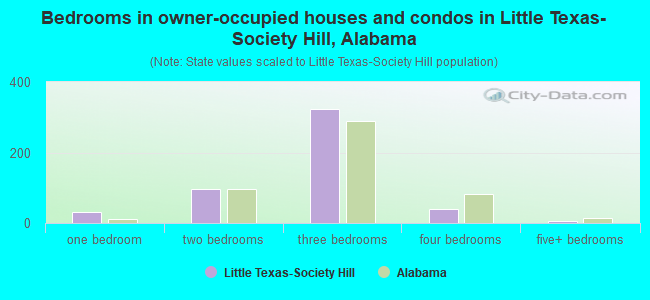 Bedrooms in owner-occupied houses and condos in Little Texas-Society Hill, Alabama
