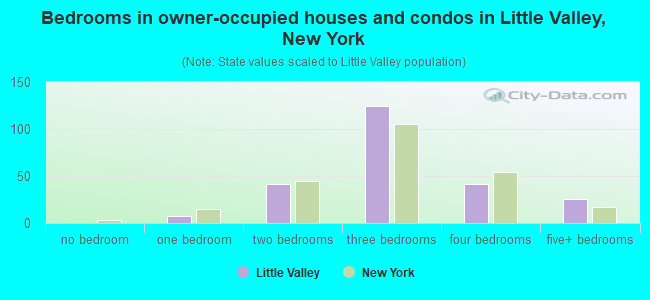 Bedrooms in owner-occupied houses and condos in Little Valley, New York