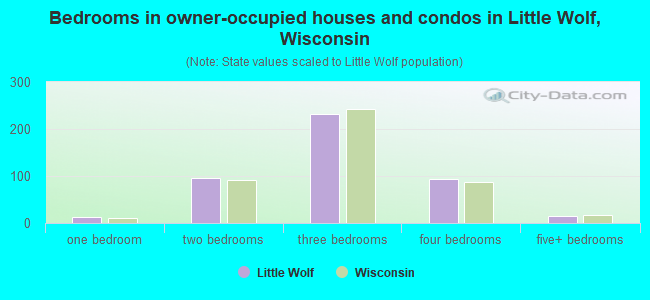 Bedrooms in owner-occupied houses and condos in Little Wolf, Wisconsin