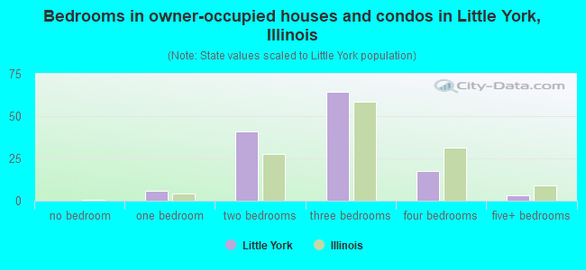 Bedrooms in owner-occupied houses and condos in Little York, Illinois