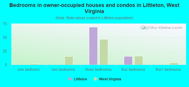 Bedrooms in owner-occupied houses and condos in Littleton, West Virginia