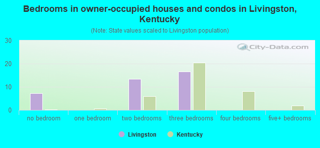 Bedrooms in owner-occupied houses and condos in Livingston, Kentucky