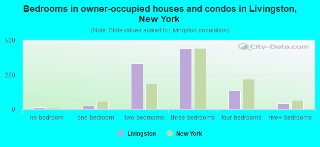 Bedrooms in owner-occupied houses and condos in Livingston, New York