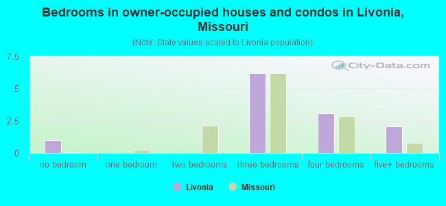 Bedrooms in owner-occupied houses and condos in Livonia, Missouri