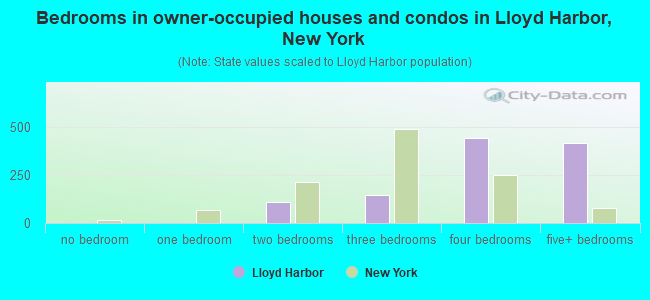 Bedrooms in owner-occupied houses and condos in Lloyd Harbor, New York