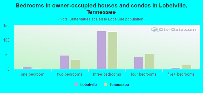 Bedrooms in owner-occupied houses and condos in Lobelville, Tennessee