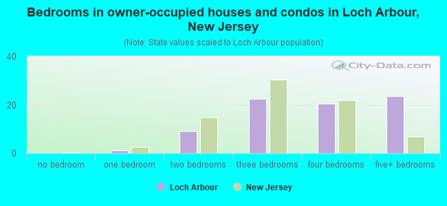 Bedrooms in owner-occupied houses and condos in Loch Arbour, New Jersey