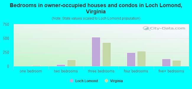 Bedrooms in owner-occupied houses and condos in Loch Lomond, Virginia
