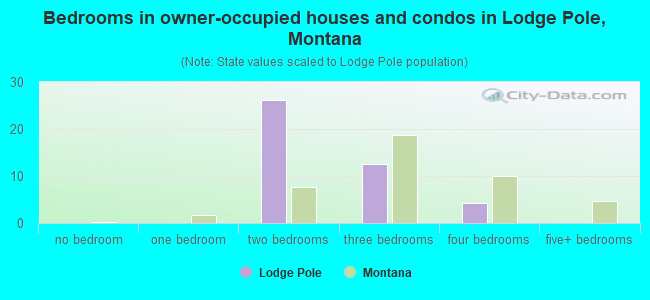 Bedrooms in owner-occupied houses and condos in Lodge Pole, Montana