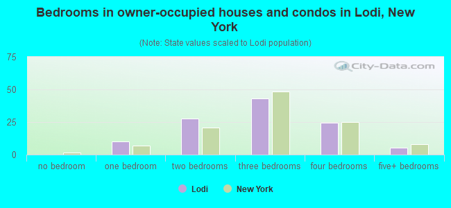 Bedrooms in owner-occupied houses and condos in Lodi, New York