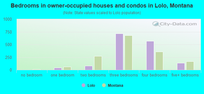 Bedrooms in owner-occupied houses and condos in Lolo, Montana