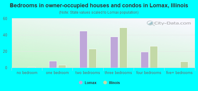 Bedrooms in owner-occupied houses and condos in Lomax, Illinois