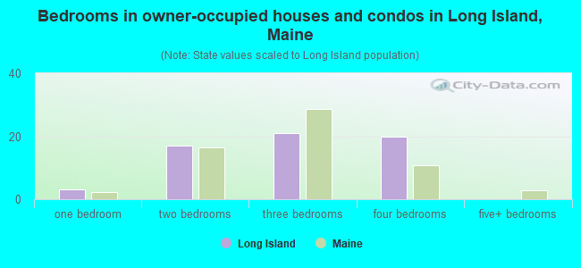 Bedrooms in owner-occupied houses and condos in Long Island, Maine